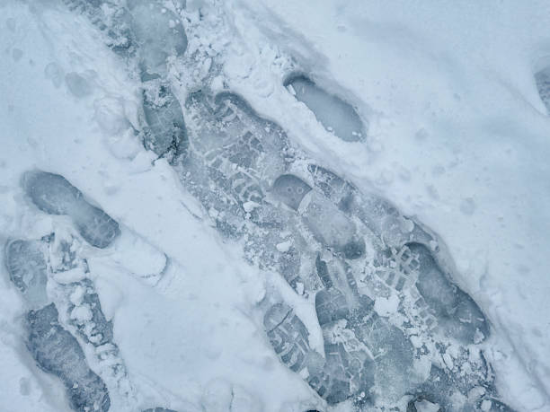 These old slide film images of the Columbia Icefield in Alberta capture the vast, glacial expanse in its raw, unspoiled state. Taken in the 1970s or 1980s, the photos have a distinct warmth and soft grain characteristic of vintage slide film. The ice stretches across rugged mountain valleys, its surface cracked and textured under the weight of centuries. Towering peaks rise beyond the glacier, their ridges dusted with snow. The faded colors and film tones add a timeless, almost haunting quality—preserving a moment when the ice still reached farther and the air felt untouched.