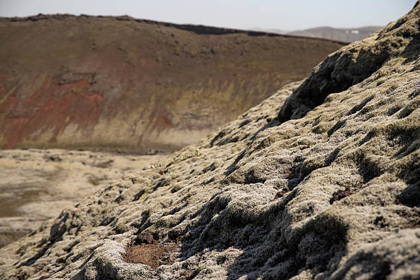 istock Icelandic moss with mountains in the background 2251445912