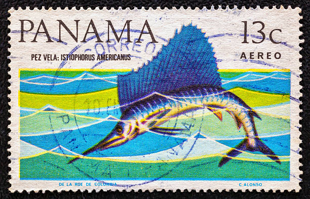 istock Panama - circa 1965 : Cancelled postage stamp printed by Panama, that shows Atlantic sailfish.Tropical Fish serie.Philately.World stamp collection. 2251451815