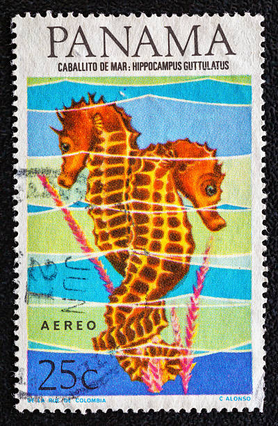 istock Panama - circa 1965 : Cancelled postage stamp printed by Panama, that shows Long-snouted Seahorse-Hippocampus guttulatus.Tropical Fish serie.Philately.World stamp collection. 2251451827