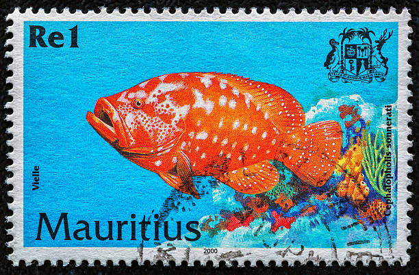 istock MAURITIUS - CIRCA 2000:a stamp printed in Mauritius shows Tomato hind, cephalopholis sonnerati.Tropical Fish serie.Philately.World stamp collection. 2251451986
