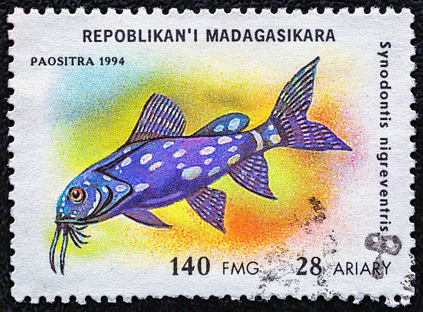 istock MADAGASCAR - CIRCA 1994:A Madagascar postage stamp shows fish synodontis migreventris.Tropical aquarium Fish serie.Philately.World stamp collection. 2251451997