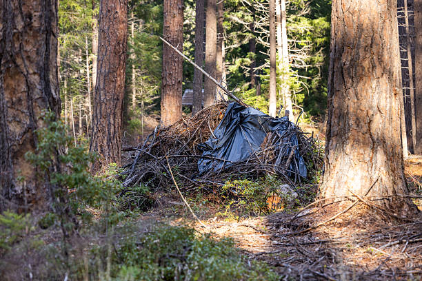 istock Brush and Debris Pile (Slash Pile) Covered for Seasonal Controlled Burn in Conifer Forest. 2251455292