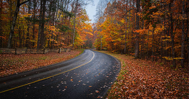 istock Winding road through autumn forest landscape 2251457095