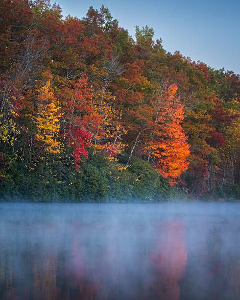 istock Autumn Trees Reflected in a Misty Lake 2251457155