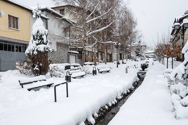 Winter snow covers the ground and trees,A fairytale-like snowscape