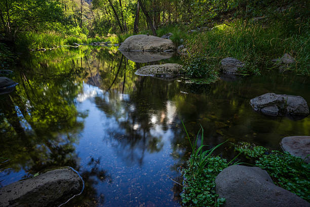Oak Creek reflections in Sedona