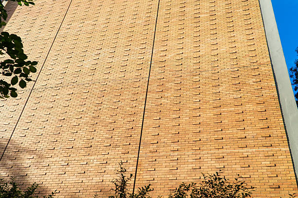A textured brick wall with protruding elements casts shadows under bright sunlight, framed by green leaves, against a clear blue sky.