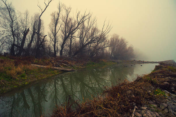 Morning by the river