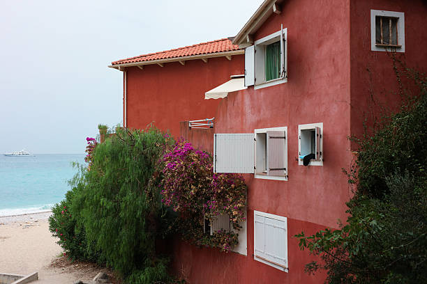 Red cottage with different plants on seaside