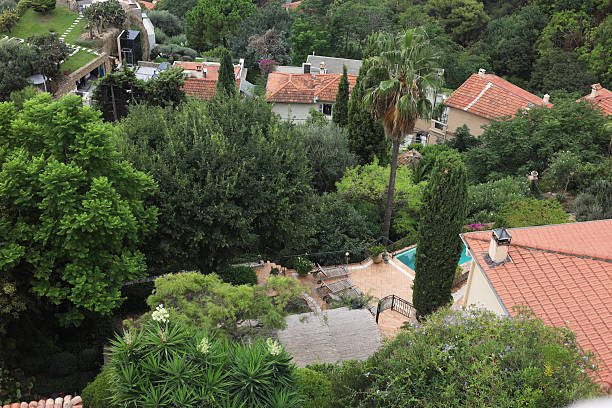 istock Buildings with red roofs and different plants growing outdoors, above view 2251469299
