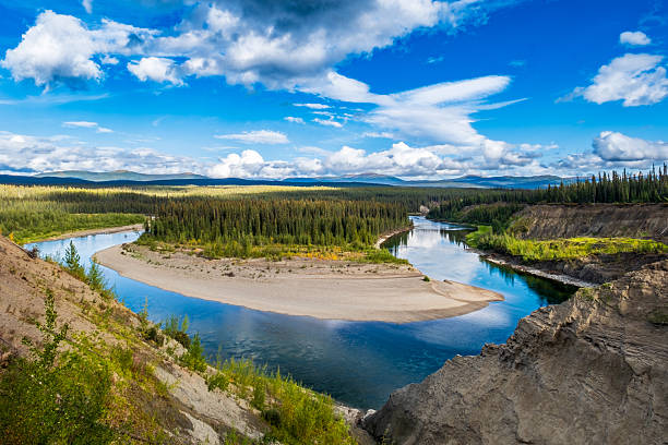 The Nisutlin river curves through dense boreal forest under a bright blue sky, showcasing the vast wilderness and natural beauty of northern Canada.