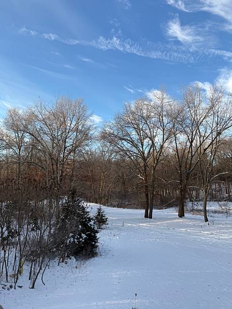 istock Winter view in Michigan 2251472267