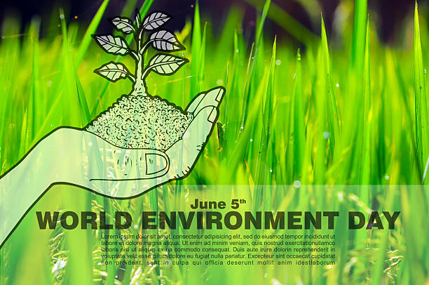 istock World Environment Day Nurturing Nature for a Sustainable Future 2251478136