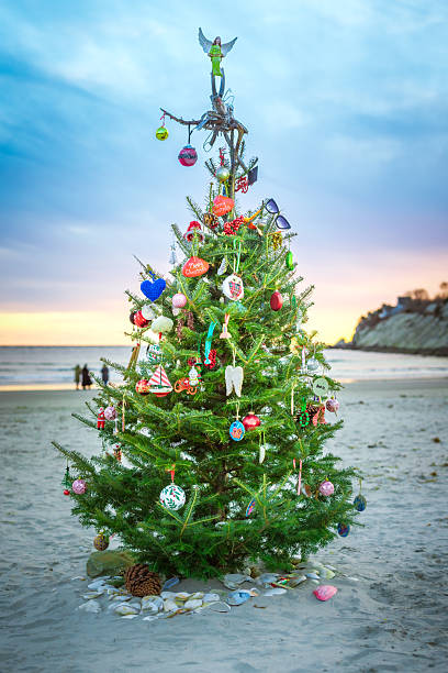 istock New England Beach Christmas Tree 2251478707