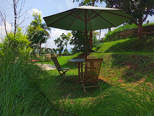 istock Garden seating area under umbrella on a sunny day 2251480145