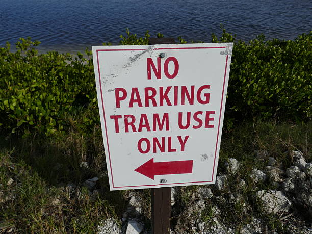 istock No parking tram use only sign beside tropical lake 2251480555