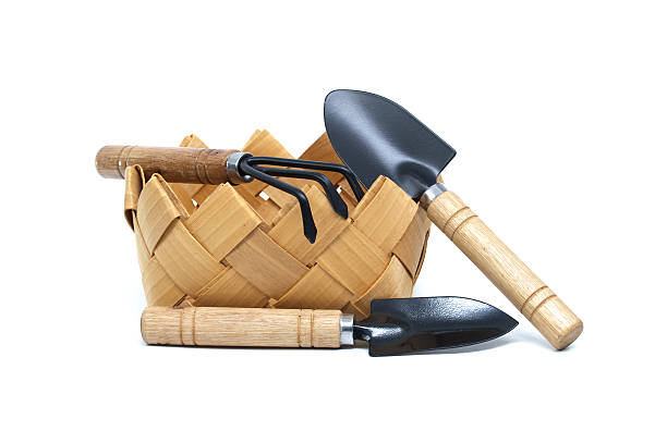 A compact woven basket sits beside wooden-handled garden tools a shovel, trowel, and rake, arranged on a clean white background. Ideal for gardening scenes, outdoor projects, or rustic decor.