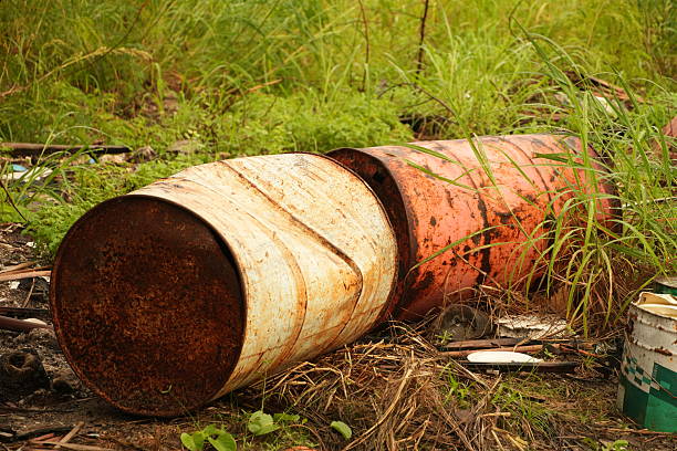 Abandoned rusty barrels lie in overgrown grassy field, symbolizing neglect and environmental decay.