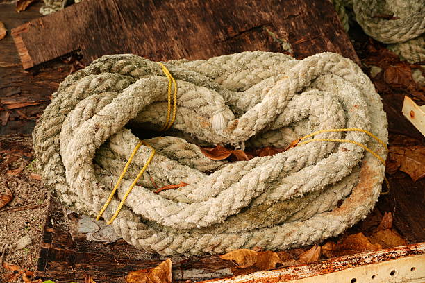 A coiled rope lies on a weathered wooden surface surrounded by autumn leaves, exuding a rustic, earthy atmosphere.