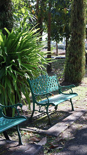 istock A tranquil outdoor setting with two park benches positioned side by side under the shade of a tall tree 2251492504