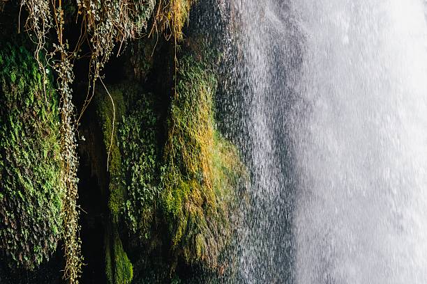 Water flushing down a small waterfall in Sweden, surrounded by lush green vegetation