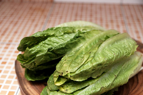 Fresh romaine lettuce on wooden cutting board, ready to eat and green grass, Romaine is a variety of popular lettuce