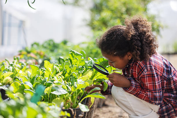 istock A young child carefully examines leafy vegetables in a garden using a magnifying glass, symbolizing food care, curiosity, and sustainable growing. A gentle scene highlighting healthy food, learning, and environmental awareness. 2251501135