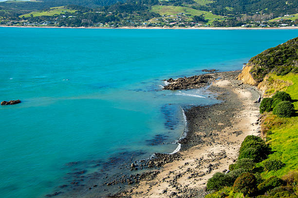 istock Martin's Beach in Omapere 2251503604