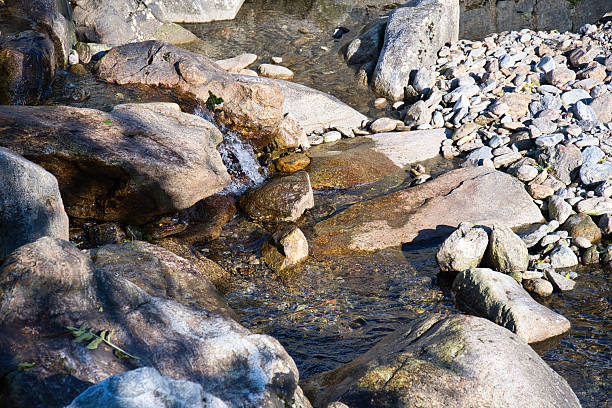 istock Stones and boulders in a small mountain stream 2251505185
