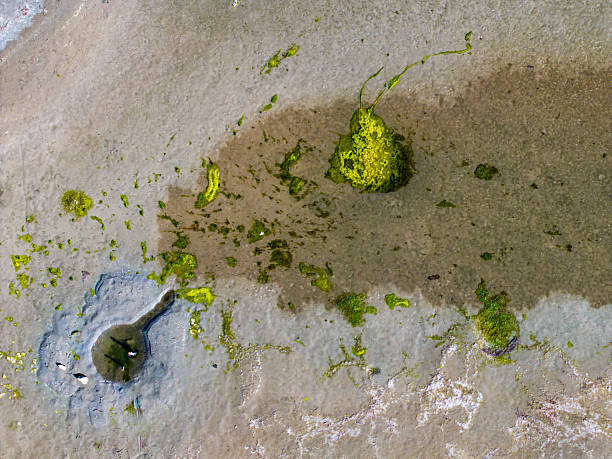 Dangers and droughts affecting lakes,Abstract photography, backgrounds for billboards, global climate-themed photographs. The magical beauty of colors. The colors and patterns of lakes and rivers.