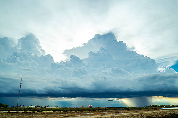 A compact supercell storm near Tarampa, QLD, drops heavy rain from massive, dark clouds above a rural landscape and a lone tree.