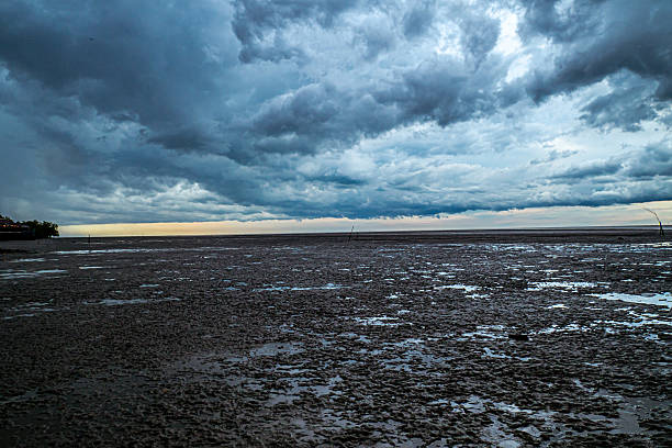 istock Moody coastal view at low tide under clouds 2251508002