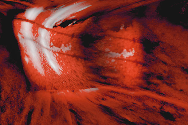 Vivid, abstract red background featuring  fluid curves and a glossy texture. Energetic and modern, it suits backgrounds, branding, and contemporary art visuals.