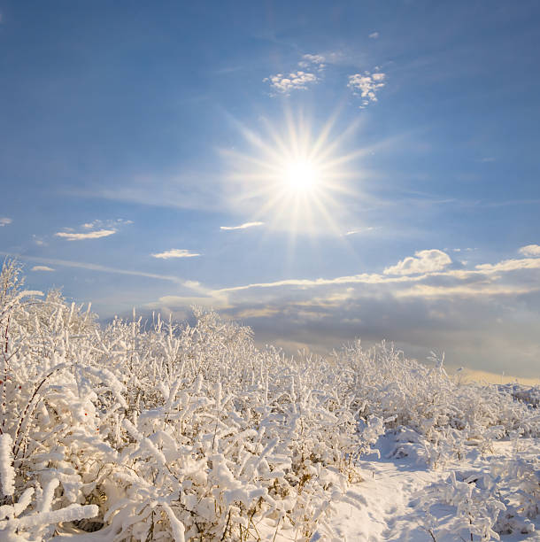 winter snowbound mountain ridge under a sparkle sun