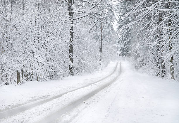 istock Winter road in the forest with blizzard and snow 2251513612