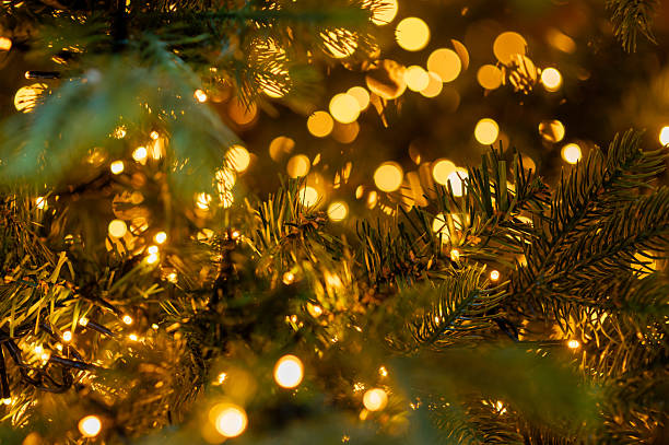 istock Golden Christmas lights creating warm festive bokeh on decorated tree branches during winter season 2251513704