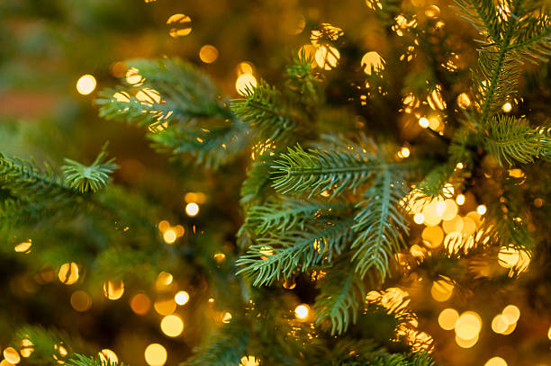 istock Golden Christmas lights creating warm festive bokeh on decorated tree branches during winter season 2251513809