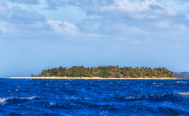 istock Fiji palm island closer 2251514112