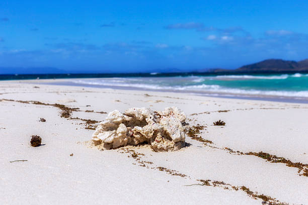 istock Fiji Focus coral sand deposit 2251514213