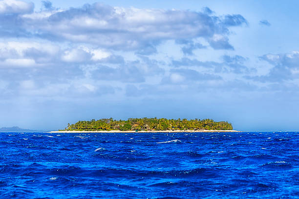 Fiji Cool Palm island close tele from boat