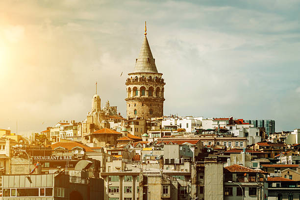 Galata tower and seagull