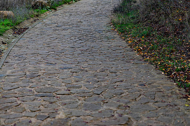Step Stone Pathway in a Lush Green Park