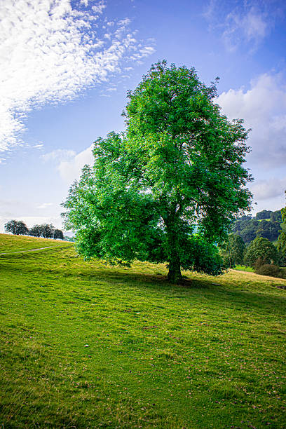 istock Peak District Impressions, Derbyshire, England 2251517362