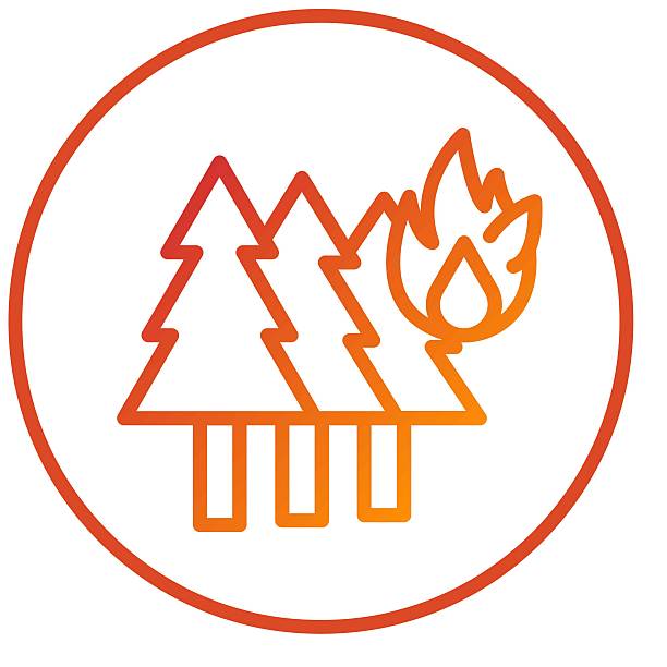 Vector Design Wildfire Icon Style
