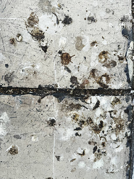 istock Grunge cement wall texture. Abstract background and texture for design. 2251525867