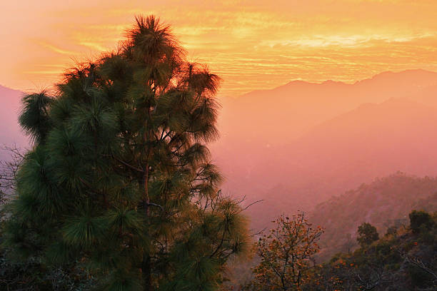 Scenic view capturing the colorful autumn foliage and the majestic mountains of Sequoia National Park in California, showcasing nature's beauty.