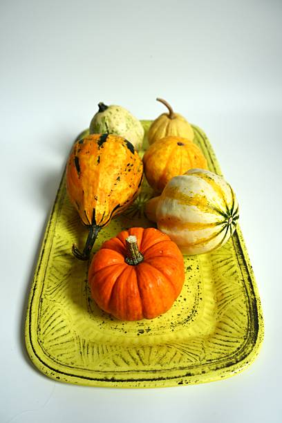 istock Vibrant Autumn Decor: Assorted Ornamental Gourds on a Yellow Ceramic Tray 2251532346