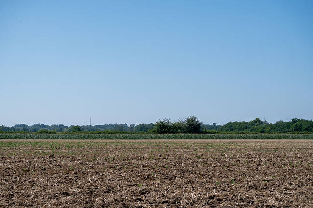 istock Plowed Agricultural Field Under Blue Sky 2251537012