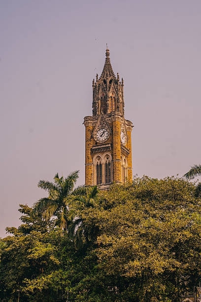 istock Rajabai Clock Tower rising above trees in Mumbai, India 2251539182